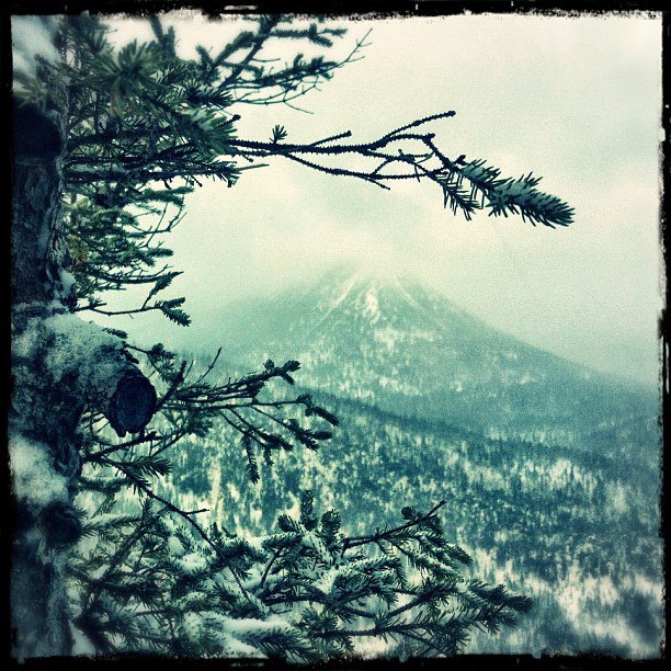Mont Coleman