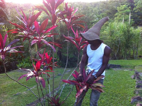 L'esclavage en Martinique - Taxi-Brousse