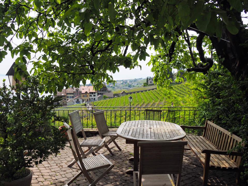 Chez Blaise Duboux, qui fait partie des quelque 200 vignerons de la région de Lavaux. Sa famille cultive les vignes depuis plus de 600 ans ! 